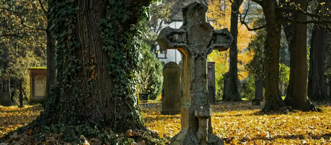 Истинный Свидетель : Жизнь после смерти